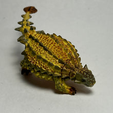 Cargar imagen en el visor de la galería, Saichania chulsanensis - Trading Figure - Miniature (054L)