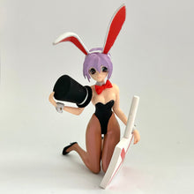 Load image into Gallery viewer, Vampire Savior: The Lord of Vampire - Lilith Aensland - SR VS Best - Bunny Type