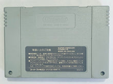 Load image into Gallery viewer, Wagyan Paradise - Super Famicom - SFC - Nintendo - Japan Ver. - NTSC-JP - Cart (SHVC-AWLJ-JPN)