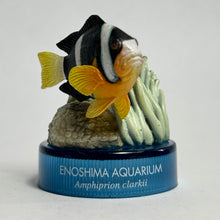 Cargar imagen en el visor de la galería, Clark's anemonefish / Amphiprion clarkii - Mini Figure - Bottle Cap