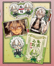 Load image into Gallery viewer, Kimetsu no Yaiba - Shinazugawa Sanemi - Die-cut Sticker Set