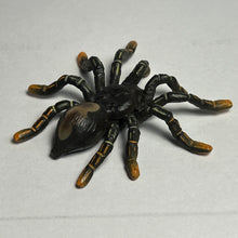 Cargar imagen en el visor de la galería, Tarantula - Trading Figure - Miniature (06)
