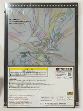 Cargar imagen en el visor de la galería, One Piece Stampede - Roronoa Zoro vs. Fujitora - Clear File (Set)
