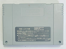 Load image into Gallery viewer, Derby Jockey 2 - Super Famicom - SFC - Nintendo - Japan Ver. - NTSC-JP - Cart (SHVC-A2DJ-JPN)