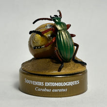 Cargar imagen en el visor de la galería, Golden Ground Beetle (Carabus albrechti) - Mini Figure - Bottle Cap