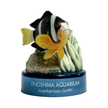Cargar imagen en el visor de la galería, Clark's anemonefish / Amphiprion clarkii - Mini Figure - Bottle Cap
