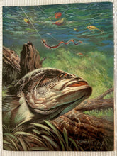 Load image into Gallery viewer, Bass Rise - PlayStation - Original Vintage Advertisement - Print Ads - Laminated A4 Poster