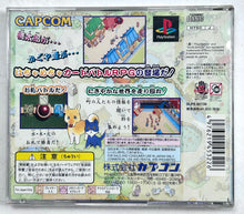 Load image into Gallery viewer, Suzu Monogatari - PlayStation - PS1 / PSOne / PS2 / PS3 - NTSC-JP - CIB (SLPS-02730)