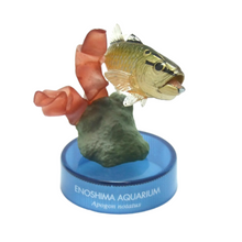 Cargar imagen en el visor de la galería, Carfinalfish / Apogon notatus - Trading Figure - Miniature