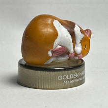 Cargar imagen en el visor de la galería, Golden Hamster - Trading Figure - Miniature - No.03