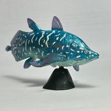 Cargar imagen en el visor de la galería, Axelrodichthys - Trading Figure - Miniature (015)