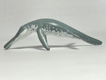 Load image into Gallery viewer, Liopleurodon - Trading Figure - Miniature (011)