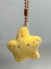 Load image into Gallery viewer, Starfish - Round-Eyed Aquarium Petite Mascot BC