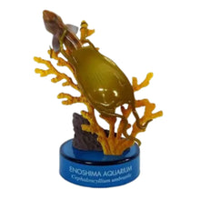 Cargar imagen en el visor de la galería, Seven-gill Shark / Cephaloscyllium umbratile - Trading Figure - Miniature