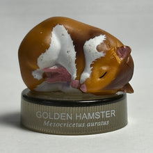 Cargar imagen en el visor de la galería, Golden Hamster - Trading Figure - Miniature - No.03