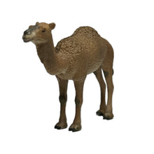 Load image into Gallery viewer, Wildlife of the World: Asia & Oceania Edition (Set of 9)