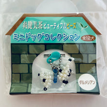 Load image into Gallery viewer, Sokenbicha Beautiful Beads Mini Dog Collection (Set of 12)