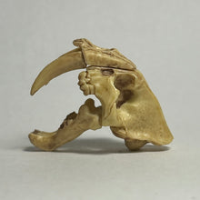 Load image into Gallery viewer, Smilodon (skull) - Trading Figure - Miniature (048)