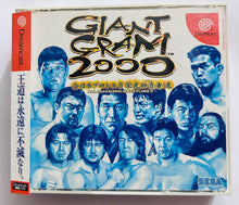 Cargar imagen en el visor de la galería, Giant Gram 2000: All-Japan Pro Wrestling 3 - Sega Dreamcast - DC - NTSC-JP - CIB (HDR-0101)