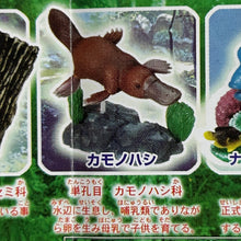 Cargar imagen en el visor de la galería, Platypus - Trading Figure - Minifigure