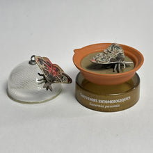 Cargar imagen en el visor de la galería, Japanese Emperor Moth (Saturnia Pavonia) - Mini Figure - Bottle Cap