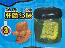 Load image into Gallery viewer, 3. Liver and Intestines - Terrifying specimens and glowing experiment tables