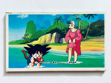 Cargar imagen en el visor de la galería, Dragon Ball / DBZ - Menko - Trading Card - Showa - Vintage - Set of 40