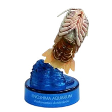 Cargar imagen en el visor de la galería, Giant Isopod / Bathynomus doederleinii - Trading Figure - Miniature