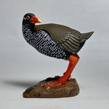 Load image into Gallery viewer, Okinawa rail - Trading Figure - Miniature (20)