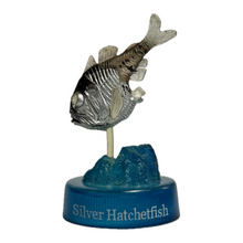 Load image into Gallery viewer, Silver Hatchetfish - Mini Figure - Bottle Cap