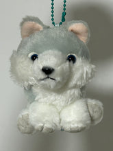 Load image into Gallery viewer, Uru-chan Standard Plush Toy "Fluffy Wolf"