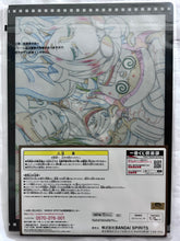 Cargar imagen en el visor de la galería, One Piece - Straw Hat Crew  - A4 Clear File Set (2-Piece Set)