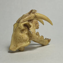 Load image into Gallery viewer, Smilodon (skull) - Trading Figure - Miniature (048)