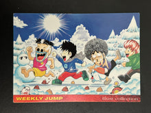 Load image into Gallery viewer, Jump Festa Special WJ Card Set - Trading Cards - Weekly Jump Illustration Collection (Set of 13)