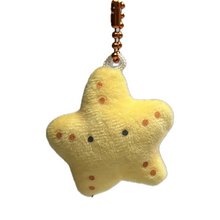 Load image into Gallery viewer, Starfish - Round-Eyed Aquarium Petite Mascot BC
