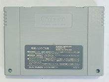 Load image into Gallery viewer, Gaia Gensouki - Super Famicom - SFC - Nintendo - Japan Ver. - NTSC-JP - Cart (SHVC-JG)