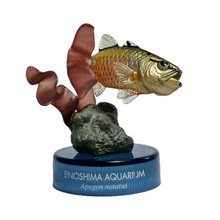 Cargar imagen en el visor de la galería, Carfinalfish / Apogon notatus - Trading Figure - Miniature