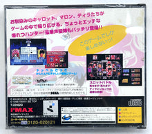 Load image into Gallery viewer, Bakuretsu Hunter - SEGA Saturn - NTSC-JP - CIB (T-22402G)
