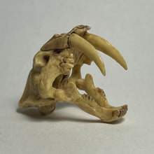 Load image into Gallery viewer, Smilodon (skull) - Trading Figure - Miniature (048)