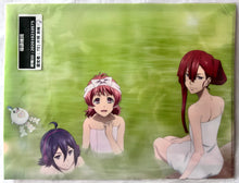 Cargar imagen en el visor de la galería, King of Prism -Shiny Seven Stars- - Clear File