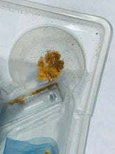 Cargar imagen en el visor de la galería, Pikachu Genki Dechu - Nintendo 64 - N64 - Japan Ver. - NTSC-JP - CIB (NUS-NPGJ-JPN)