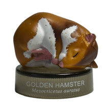 Cargar imagen en el visor de la galería, Golden Hamster - Trading Figure - Miniature - No.03