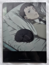 Cargar imagen en el visor de la galería, Joker Game "The Adventures of Black Cat Yoru" Clear File Set