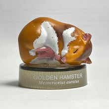 Cargar imagen en el visor de la galería, Golden Hamster - Trading Figure - Miniature - No.03