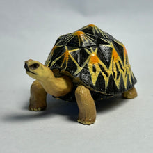 Load image into Gallery viewer, Indian Star Tortoise - Trading Figure - Miniature (08)