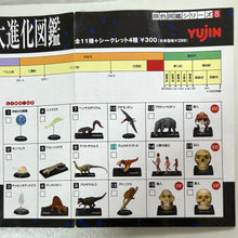 Load image into Gallery viewer, 11. Velociraptor - Trading Figure - The Earth Evolution in Color Vol.1