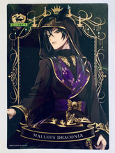 Load image into Gallery viewer, Twisted Wonderland Clear Visual Poster 2 - Jumbo Carddass (Set of 20)