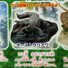 Load image into Gallery viewer, Australian Crocodile - Trading Figure - Minifigure - Cuchiwaii