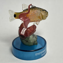 Cargar imagen en el visor de la galería, Carfinalfish / Apogon notatus - Trading Figure - Miniature - Cuchiwaii