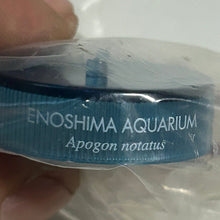 Cargar imagen en el visor de la galería, Carfinalfish / Apogon notatus - Trading Figure - Miniature - Cuchiwaii